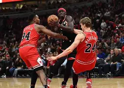 多伦多猛龙总冠军